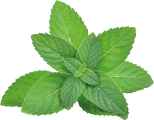 resultado del test: 69% mejora con Tinnicare